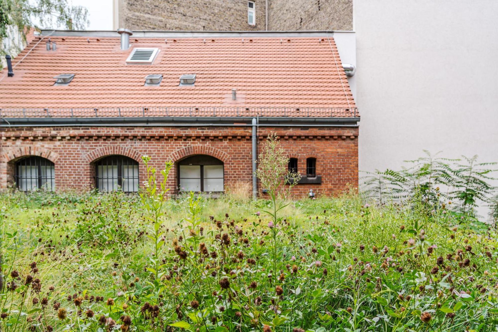Wilmina Berlin